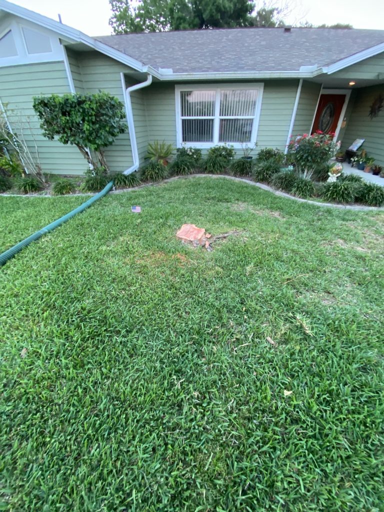 Gallery img-0217