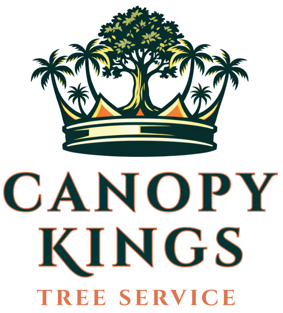 canopy kings colored orange outline